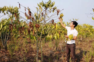 Đắk Nông: Dân chờ tiền hỗ trợ, tỉnh đưa trả trung ương