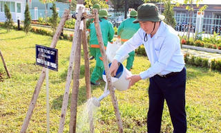 Tết trồng cây tại  TP Hồ Chí Minh