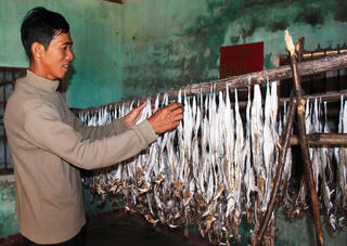 Ngư dân Quảng Nam kiếm bộn nhờ trúng mùa cá hố