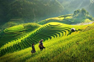 Ruộng bậc thang: Kiệt tác của những  'họa sĩ chân đất'