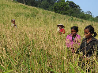 Những “hạt ngọc”  vùng cao