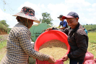 Học nghề trồng lúa nước