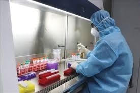 Việt Nam phát hiện chủng virus biến thể mới SARS-CoV-2 của Nam Phi