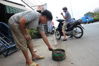 Đinh tặc lại hoành hành