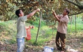 Chủ động thoát nghèo