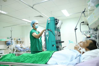 Cứu sống người đàn ông bị ong mật chích 250 mũi