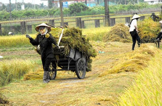 Thời cơ mới cho “trụ đỡ” kinh tế