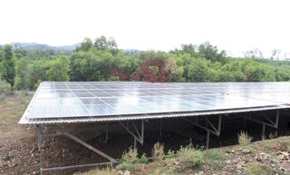 Bất ngờ các dự án điện mặt trời ‘mọc’ trên các trang trại