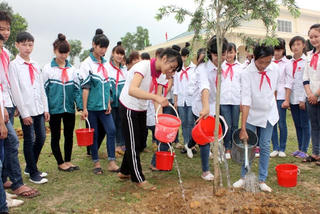 Phát động Tết trồng cây nhân dịp Xuân Bính Thân 2016
