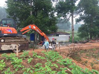 Hà Tĩnh chặn dịch tả lợn châu Phi