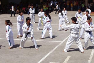 Điều kiện chuyên môn tổ chức tập luyện môn Taekwondo