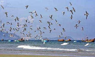 Không khí lạnh tăng cường, biển động