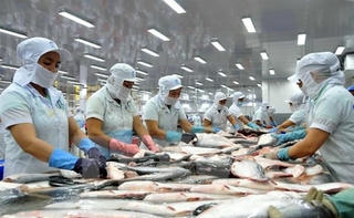 Dự báo xuất khẩu thủy sản năm 2021 có thể tăng 10%