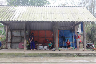 Sống ở 'ốc đảo' Hồng Lam