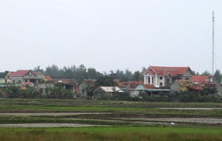Thanh Bình trù phú