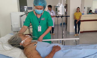 Cụ bà U80 bị ong đốt 200 mũi nguy kịch