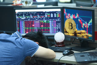 Lòng tham sập bẫy