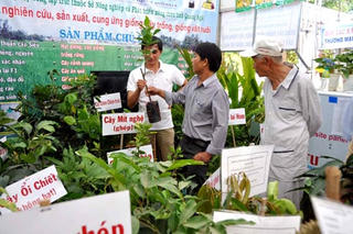 Hội chợ giống nông nghiệp
