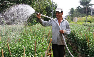Tiếng nói của dân