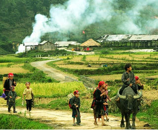 Bình yên những tổ liên gia tự quản