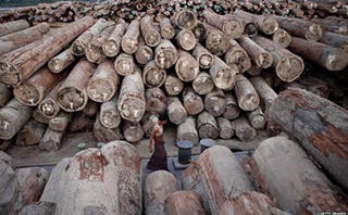 Myanmar xử tù “mọt gông” 150 lâm tặc Trung Quốc