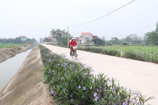 Duy Tiên xây dựng nông thôn mới kiểu mẫu