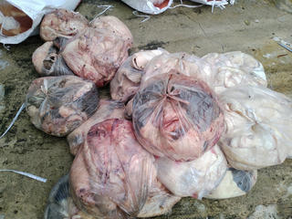 Xe khách vận chuyển 5 tạ thịt bốc mùi hôi thối