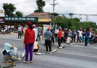 Ngư dân mang cá chết ra chặn đường