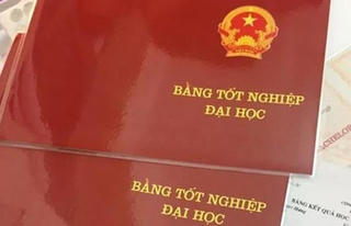 Từ nay, bằng đại học không ghi hệ đào tạo 'chính quy' hay 'tại chức'