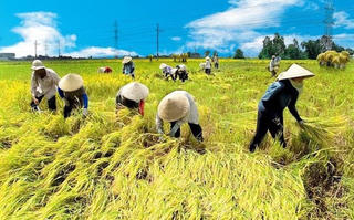 Bà đỡ cho nông nghiệp