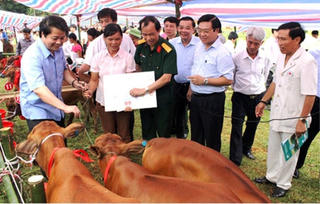 Mỗi khu dân cư một địa chỉ hỗ trợ