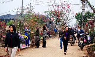 Nguyễn Bính: Tết và xuân