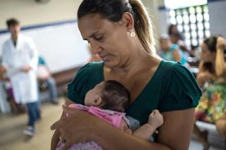 Nâng cảnh báo đối phó với virus Zika  lên mức 2