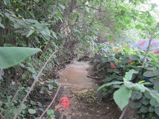 'Sống mòn' bên nhà máy giấy