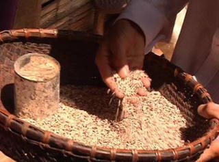 Những sát thủ thầm lặng