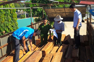 Gian nan cuộc chiến giữ rừng