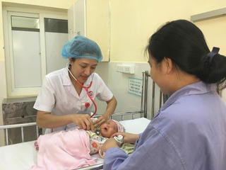 Suýt mất mạng do mẹ uống lá lợi sữa