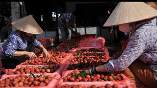 Tìm 'cơ' trong 'nguy'