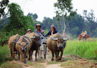Hỗ trợ di dời dân khỏi vùng nguy cơ sạt lở cao