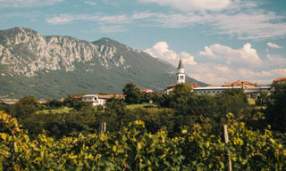 Thung lũng Vipava: Kho báu ẩn tuyệt đẹp của Slovenia