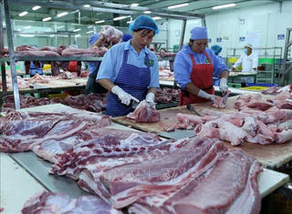 Không thiếu nguồn cung thịt lợn dịp cuối năm