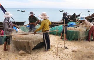 Hậu sự cố môi trường biển Bắc miền Trung - Bài cuối: Cứu nghề đi biển