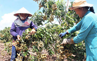 Nâng cao đời sống người dân vùng đồng bào dân tộc thiểu số