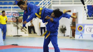 TP HCM nhất toàn đoàn Giải Vovinam vô địch quốc gia năm 2017