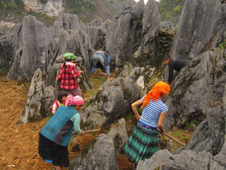 'Nghèo bền vững'