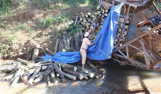 Bình Phước: Sập cầu dân sinh