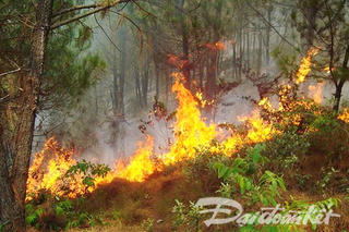 Nghệ An: Hai ngày ba vụ cháy