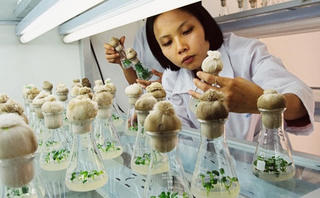 Tìm vốn cho nông nghiệp