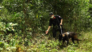 Quảng Bình: Truy tìm đối tượng nghi giết hại mẹ vợ