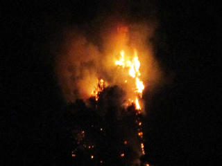 Trắng đêm chữa cháy rừng thông 30 năm tuổi